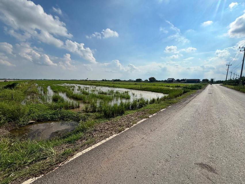 ขายที่ดินดอนเกาะกา 2 ไร่ คลอง21 ติดถนนลาดยางใกล้ถนน5006-1.2กม. อ.บางน้ำเปรี้ยว ฉะเชิงเทรา 2