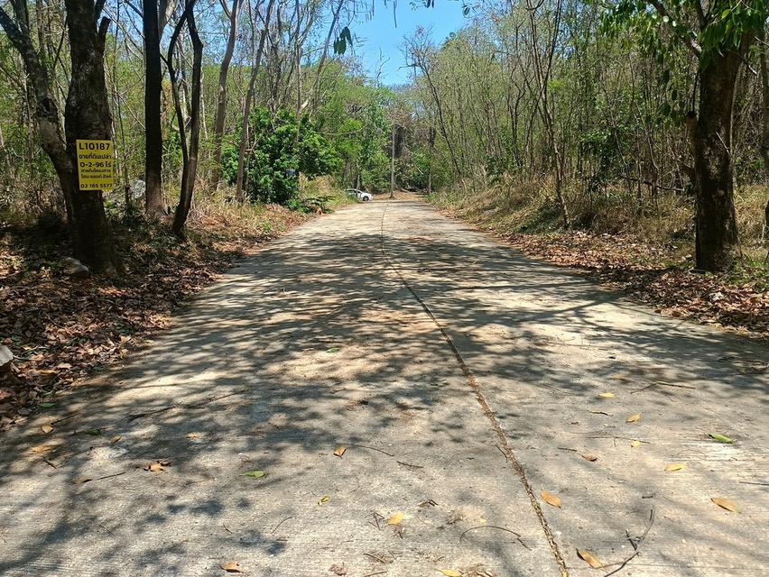 ขายที่ดิน อ.มวกเหล็ก 296 ตร.วา 5