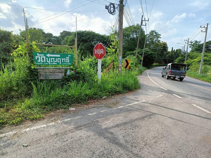 ที่ดินปากช่อง ต.พญาเย็น จ.นครราชสีมา 1