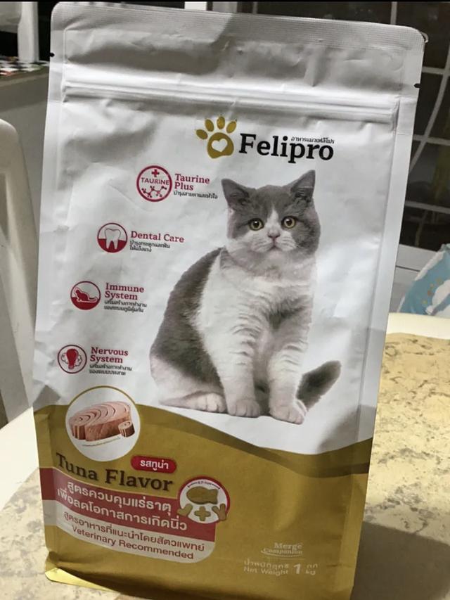อาหารแมว Felipro