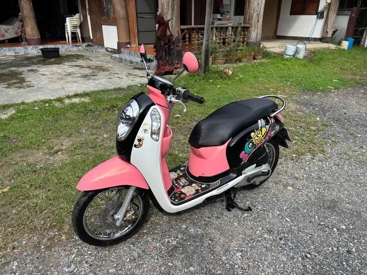 มือสองสภาพดี  Honda Scoopy จังหวัด ชลบุรี 1