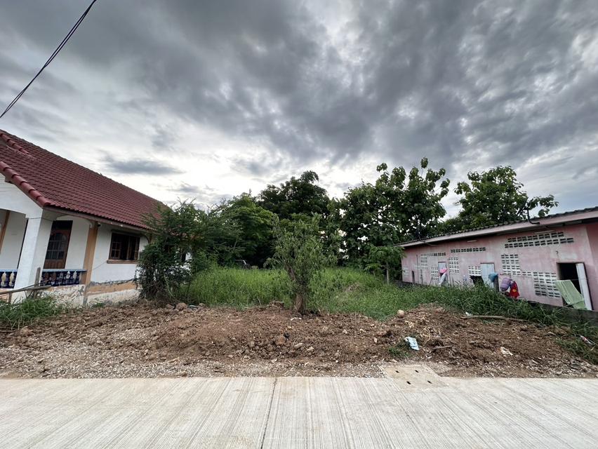 ที่ดิน 7