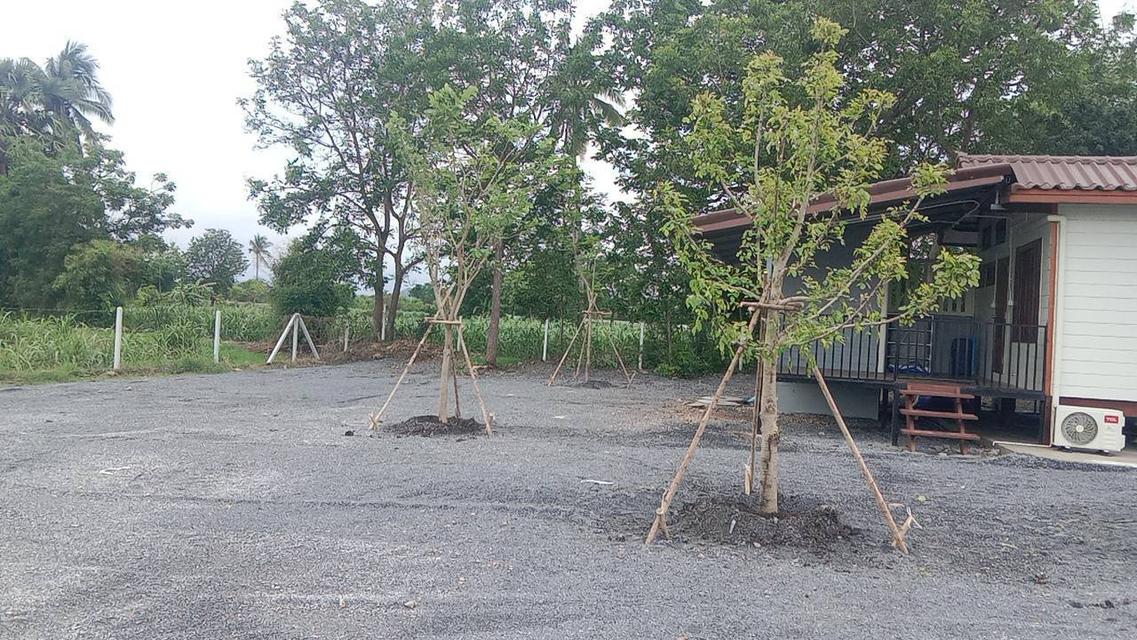 ที่ดินพร้อมบ้านและของใช้ต่างๆ 4