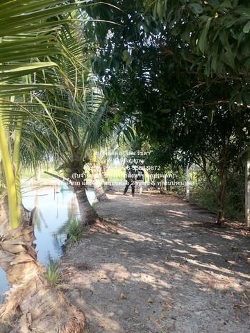 บ้าน ขายที่ดินติดถนน มีบ้านสวนผลไม้ มีบ่อปลา และมีโกดังเก็บของ พร้อมโรงจอดรถ 1-3-79 ไร่ ต.บึงน้ำรักษ์ อ.บางน้ำเปรี้ยว จ. 6