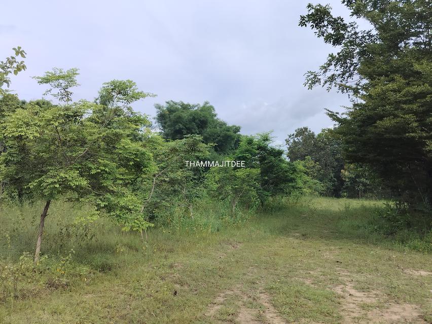 ที่ดินติดถนนสี่เลน ทางหลวง 227 19