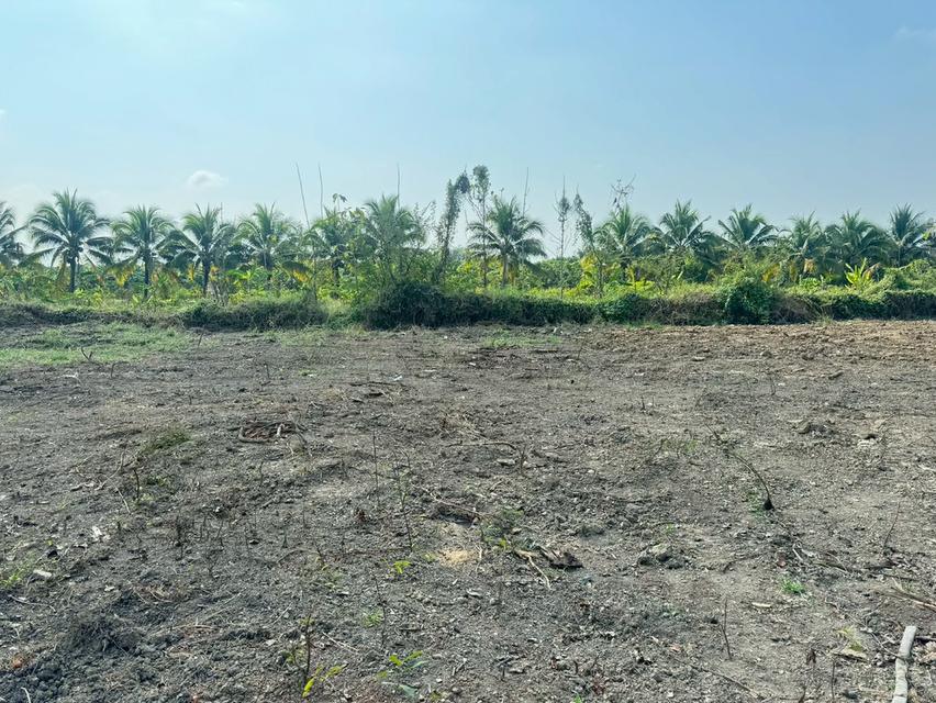 ที่ดินตำบลหนองช้างคืน จ.ลำพูน 8