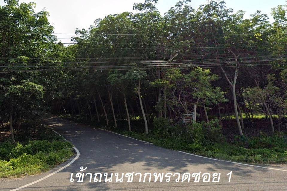 ที่ดิน แบ่งขายที่ดิน 11