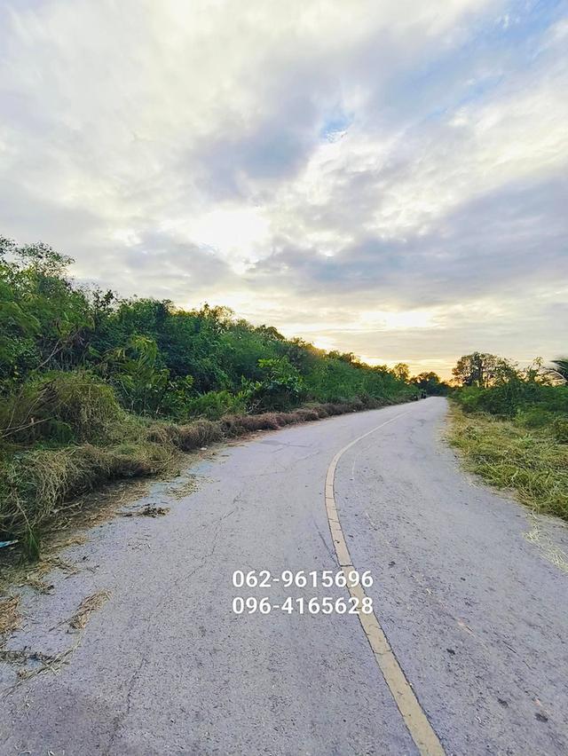 อสังหาริมทรัพย์ ที่ดิน 1