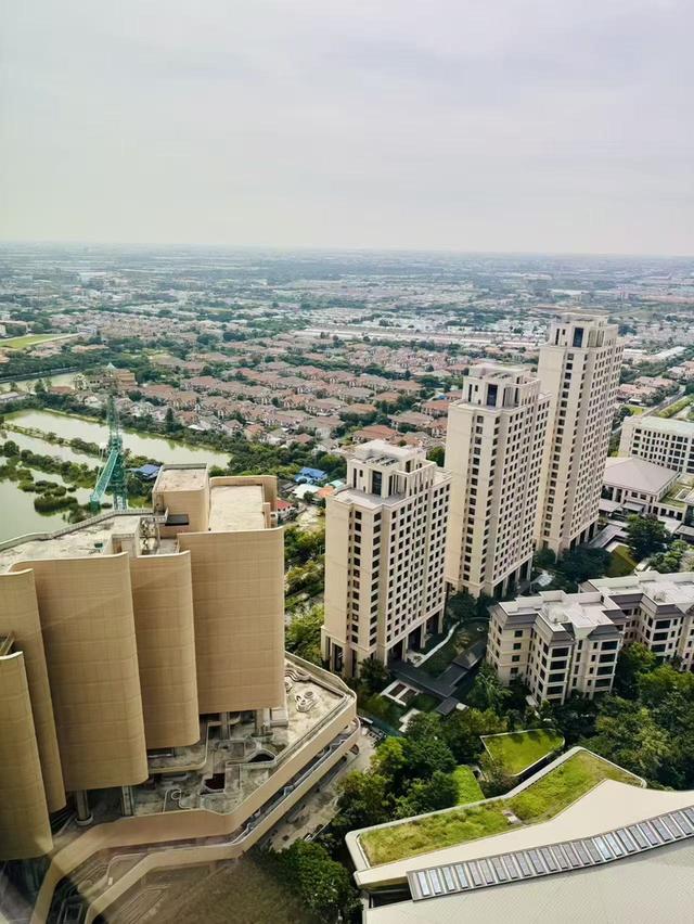 ประกาศขายคอนโด Whizdom The Forestias (วิสซ์ดอม เดอะ ฟอเรสเทียส์) 7