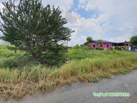 รูป ขาย ที่ดิน จัดสรร ชัยบาดาล ลพบุรี 100 ตร.วา ที่ดินแปลงสวย Land for SALE in Lopburi 5