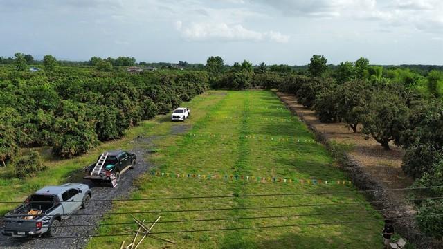ขายที่ดินแบ่งจัดสรร 60ตรว. ลดเหลือ 294,000บ. ฟรีโอน ถนน น้ำ ไฟฟ้า ใกล้วัดขัวมุง ต.ขัวมุง อ.สารภี เชียงใหม่ 4