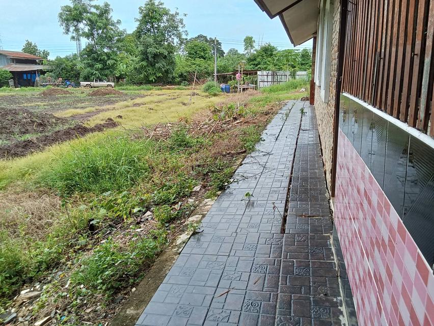 บ้านเดี่ยววิวสวยทำเรดี ขนาด 150 ตรว 12