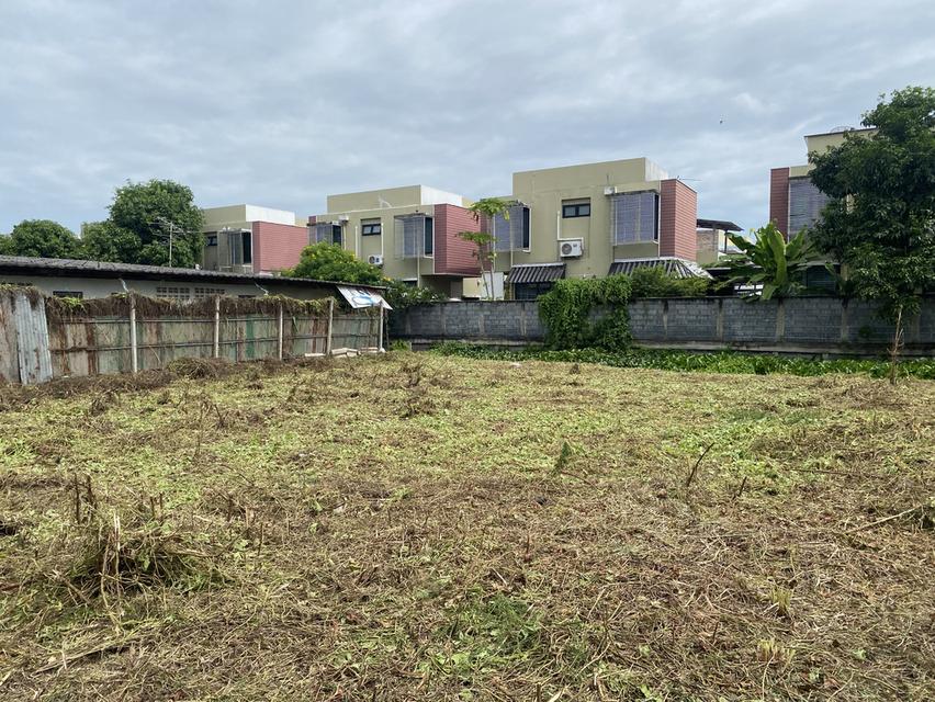 ขายที่ดิน เนื้อที่สวย ทำเลดี 142 ตารางวา 2