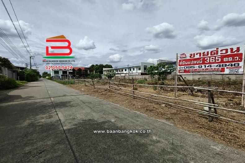 ที่ดินเปล่า ซอยลำลูกกา 45 เนื้อที่ 365 ตร.ว (ใกล้บิ๊กซีลำลูกกาคลอง 4) ตำบลลาดสวาย อำเภอลำลูกกา ปทุมธานี 2