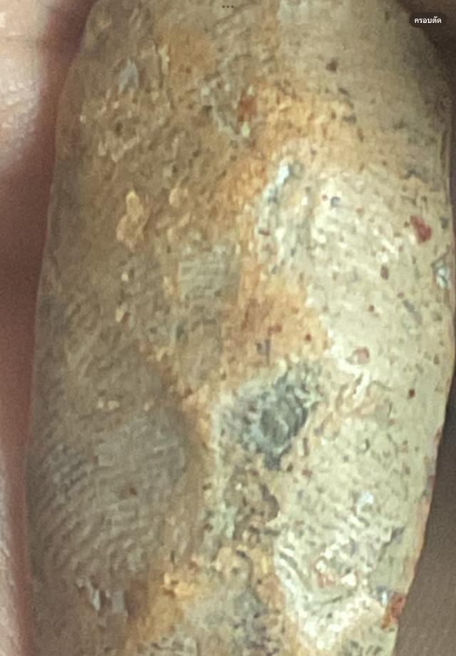 พระกำแพงลีลาเม็ดขนุน พิมพ์ไหญ่ กุวัดพิกุล 7