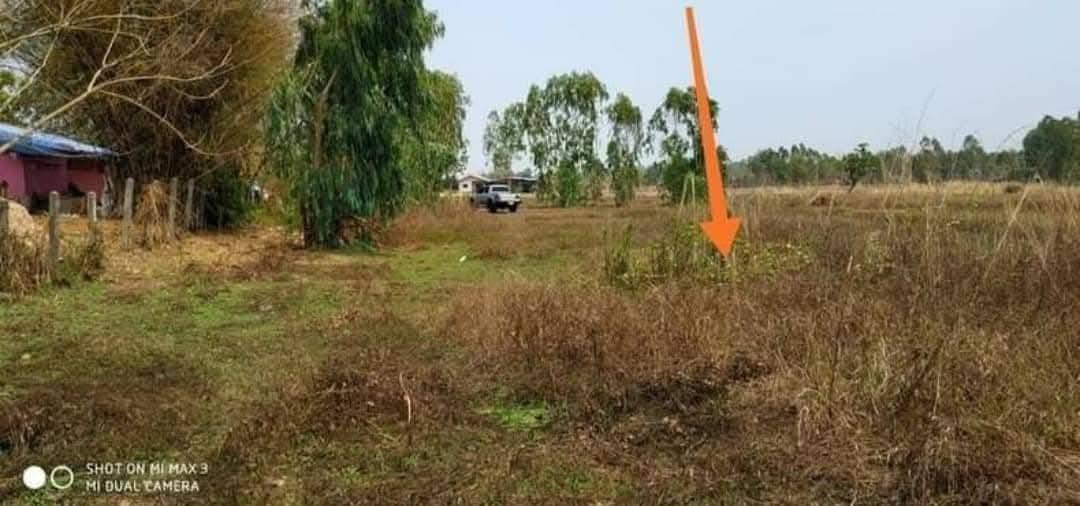 ที่ดินจ.อุดร.นส3ก 2ไร่97ตรว. ยกแปลง390,000 บาท ตรงข้ามโรงเรียนโนนสมบูรณ์ หมู่บ้านโนนสมบูรณ์ ต.นาชุมแสง อ.ทุ่งฝน จ.อุดรธานี อยู่ในชุมชน ติดถนน น้ำปะปา 7