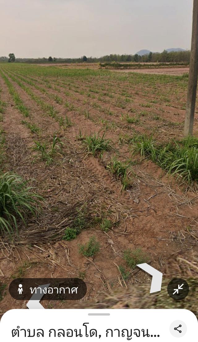 ที่ดินเปล่า ราคาถูก โฉนดไร่ละ153,000฿ 8