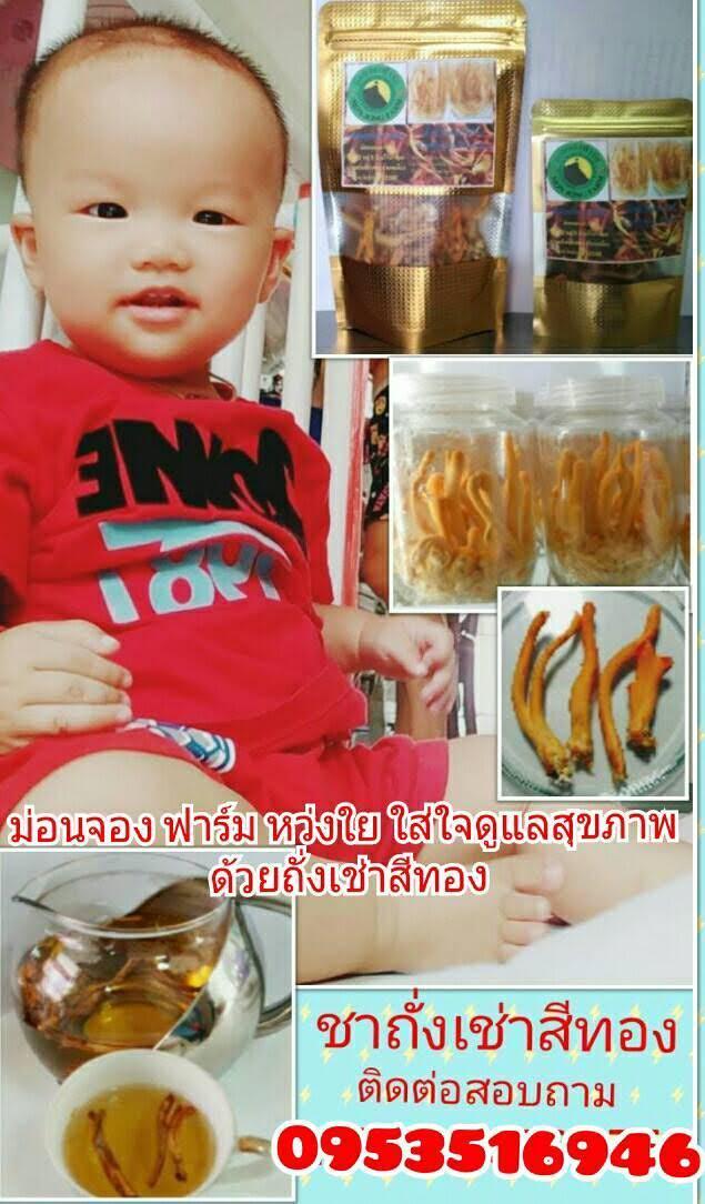ถั่งเช่าไหมไทยต้นตำหรับดั้งเดิม100%