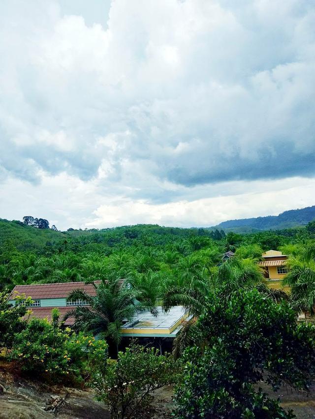 ที่ดิน 20 ไร่ ไร่ละ 3แสน 1