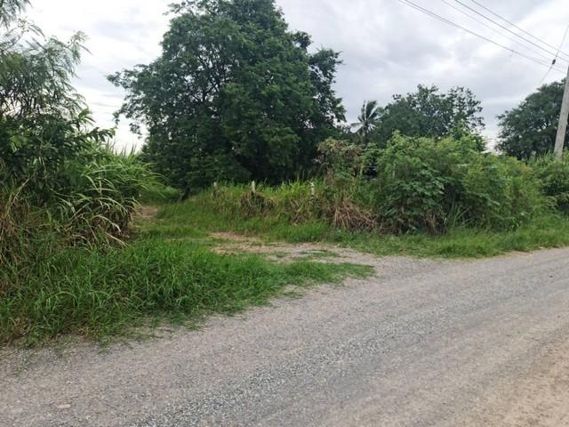 เดือนแห่งความรักหาทรัพย์สวยสักแปลง ที่ปากช่อง 2ไร่- 8ไร่ โฉนด ต.วังไทร อ.ปากช่อง จ.นครราชสีมา ไร่ละ 2.9 ลบ.สูงจากระดับน้ 2