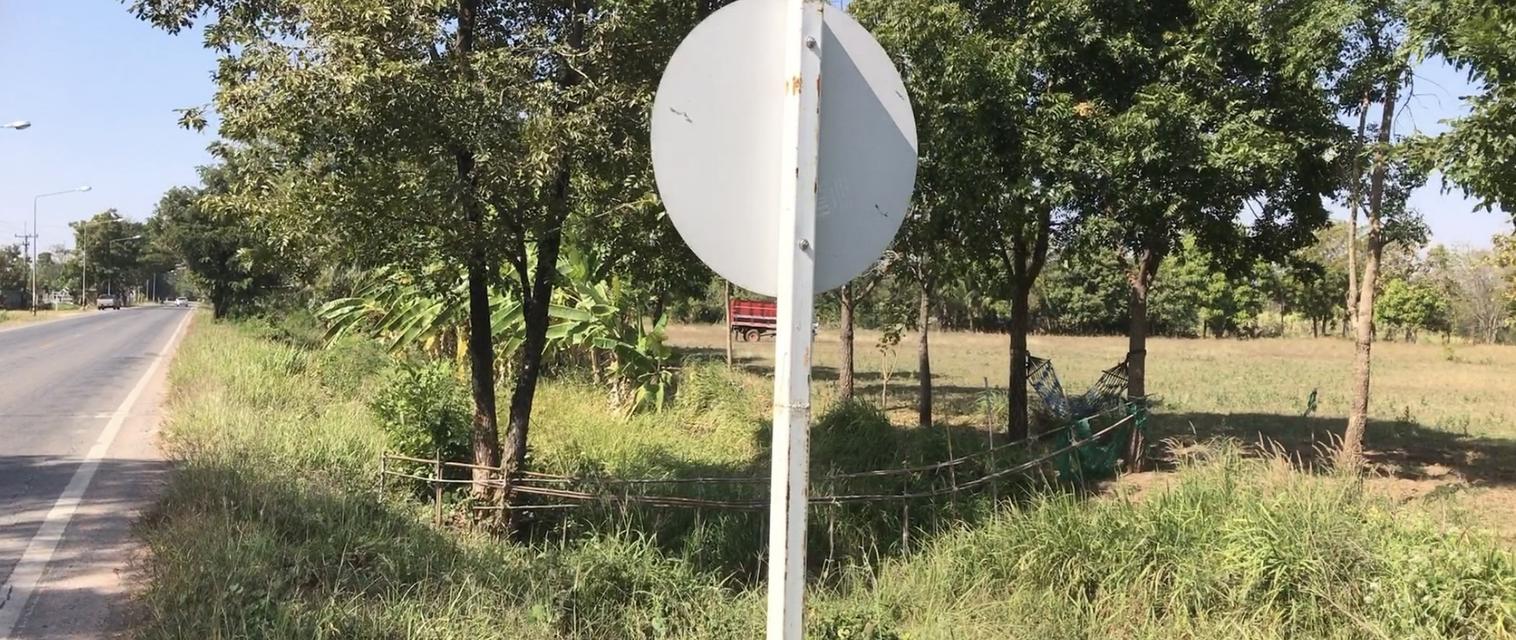 ขายที่ดินทำเลดี อุดมสมบูรณ์ด้วยอาหาร น้ำ เดินทางสะดวก ปลอดภัย สงบ ใกล้แหล่งความเจริญ อยู่อาศัยก็ได้ ทำโครงการค้าขายก็ดี 2