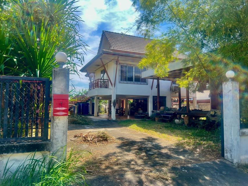 ขายบ้านเดี่ยวยกสูง 1 หลัง และ เรือนไทยเล็ก 1 หลัง 129.8 ตร.ว. ใกล้ ม.รัตนาธานี 1