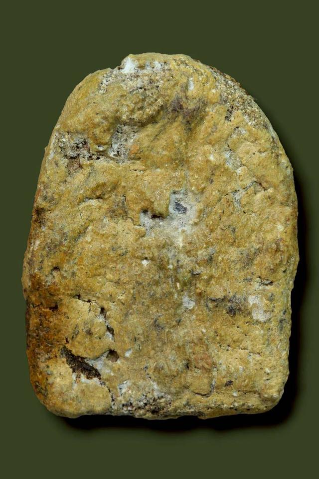 พระซุ้มกอเนื้อว่านหน้าทอง รูปที่ 2