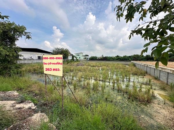 ขายที่ดิน 263 ตรว. พร้อมถมดินให้ ซอยวัดพูนพิมลราช ต.พิมลราช อ.บางบัวทอง จ.นนทบุรี โทร 088-899-8965 6