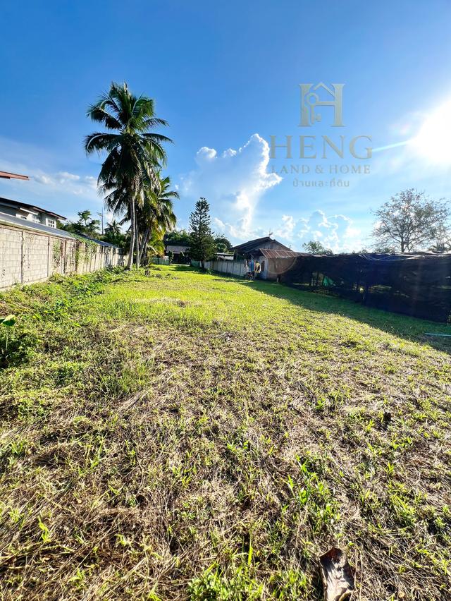 ขายที่ดินเปล่าเนื้อที่ 282 ตารางวา บ้านป่าข่า ตำบลหัวง้ม อำเภอพาน จังหวัดเชียงราย 14