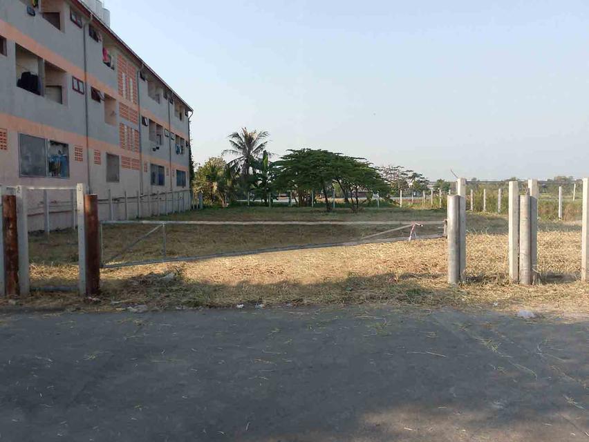 ขายที่ดินถมแล้ว 208 ตรว. ลดแรง! ที่ดินทำเลทอง พระประแดง เหลือเพียง 5.8 ล้าน ทำเลอนาคต ใกล้รถไฟฟ้า MRT สายสีม่วงใต้ – ซอยสุขสวัสดิ์ 78 แยก 24 1