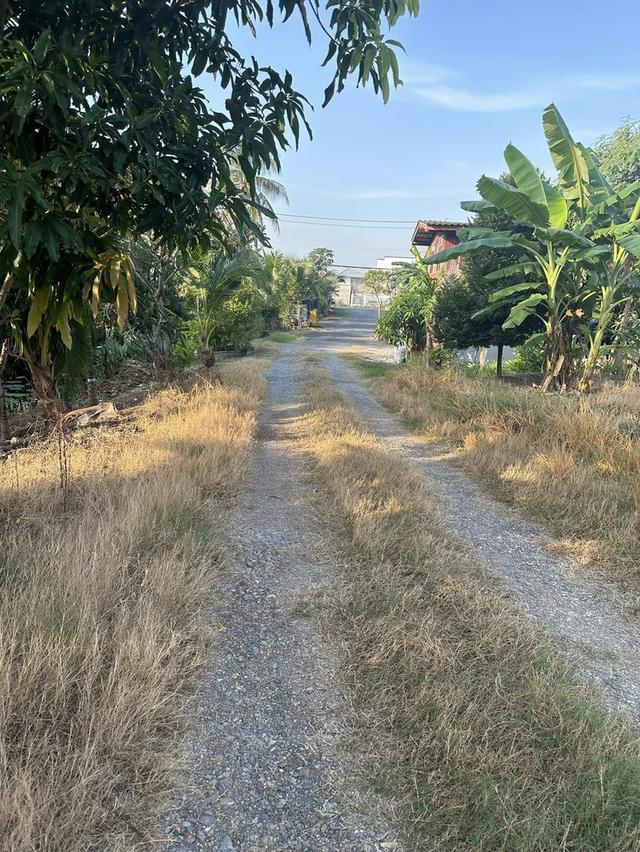 # 🌟 ที่ดินสวยทำเลทอง 2 ไร่กว่า  (905 ตร.ว) . บางบัวทอง ใกล้วัดลำโพ นนทบุรี 🌟 15