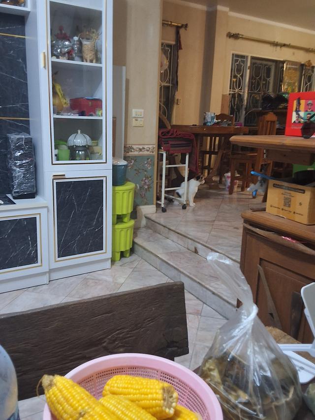 ให้เช่าบ้านเดี่ยว ม.สถาพร 20