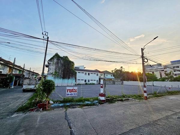 ขาย  ที่ดินสวย 201 ตร.วา ซอยลาดพร้าว 83 แปลงหัวมุม  ใกล้สถานีรถไฟฟ้า ลาดพร้าว 83 10