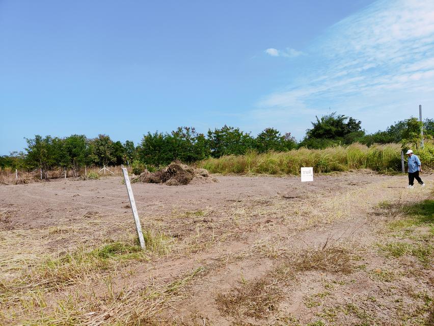 ที่ดินจังหวัดขอนแก่น อำเภอเมือง 2