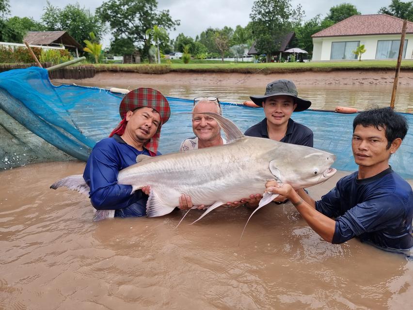 จำหน่าย ปลาใหญ่ ปลาแปลก แบบมีชีวิต 15