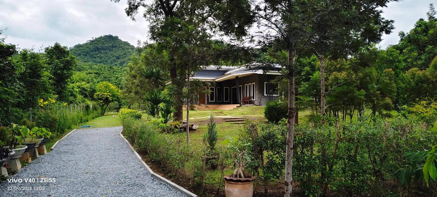 ขายที่ดินพร้อมบ้านเขาใหญ่ ปากช่อง 1.5 ไร่ หนองน้ำแดง ใกล้ถนนธนะรัชต์ มอเตอร์เวย์ M6 ห้างแม็คโคร วิวเขาสวยล้อมรอบที่สูงน้ำไม่ท่วม ใกล้โรงพยาบาล ตลาด 1