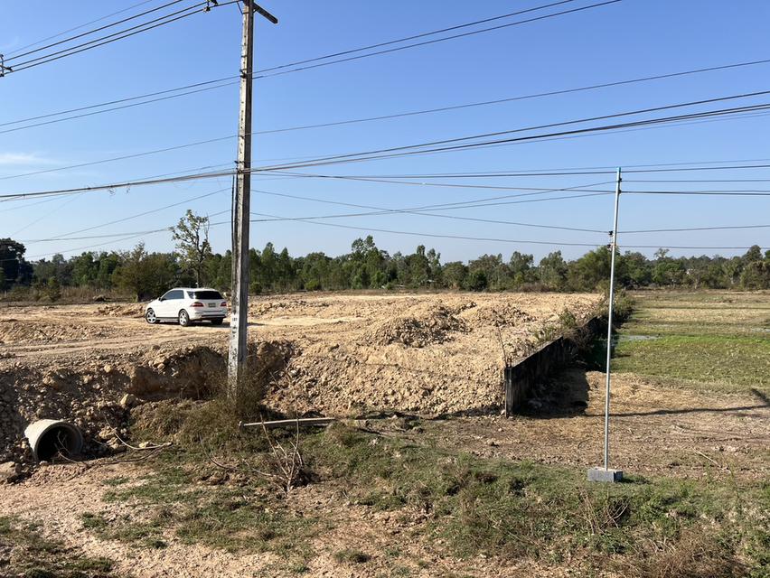 ขายที่ดินจังหวัดอุบลราชธานี 5