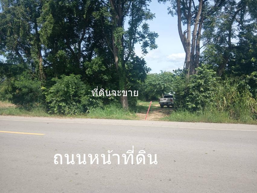 ขายที่ดิน 3 ไร่ ต.บ้านโสก อ.คอนสวรรค์ ชัยภมิ ติดถนนดำมีน้ำไฟขาย 1.2 ล้าน 6