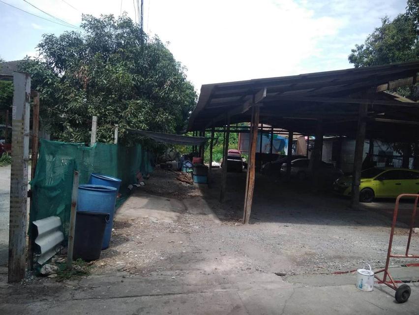 ด่วน ขายที่ดินอ่อนนุช 55 477ตร.ว ใกล้ถนนพัฒนาการตัดใหม่ ศรีนครินทร์ แยกศรีเอี่ยม ซีคอนสแควร์ สุขุมวิท77 เหมาะปลูกบ้าน โฮมออฟฟิศ 087-9074045