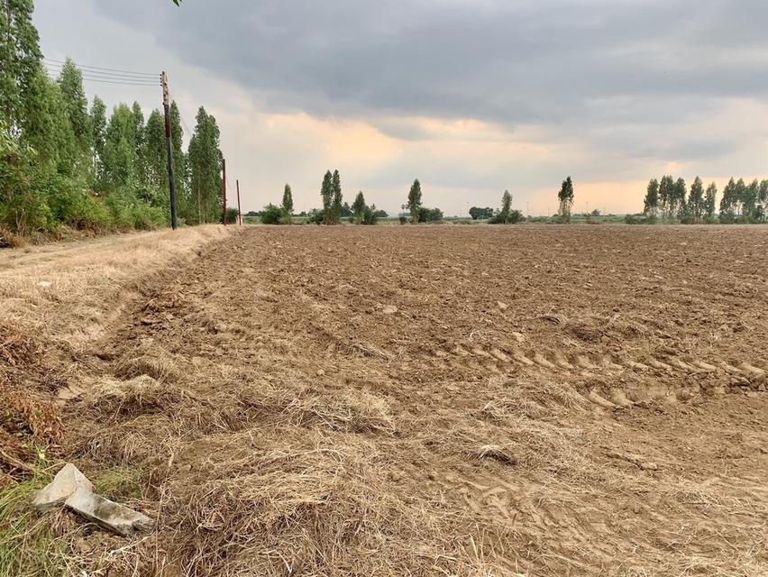 ขายที่ดินสวย16ไร่ ต.วังศาลา อ.ท่าม่วง แปลงสวย ทำเลดี แหล่งชุมชน ใกล้กรุงเทพ เดินทางสะดวก 5