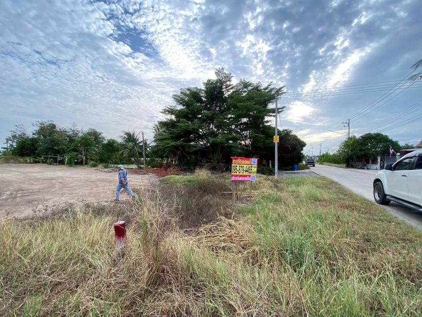 Vายถูกที่สุดที่ดิน 2ไร่ครึ่ง ติดถนนคอนกรีตสาธารณะ ถมแล้วnต.บางภาษี อ.บางเลน จ.นครปฐม 9