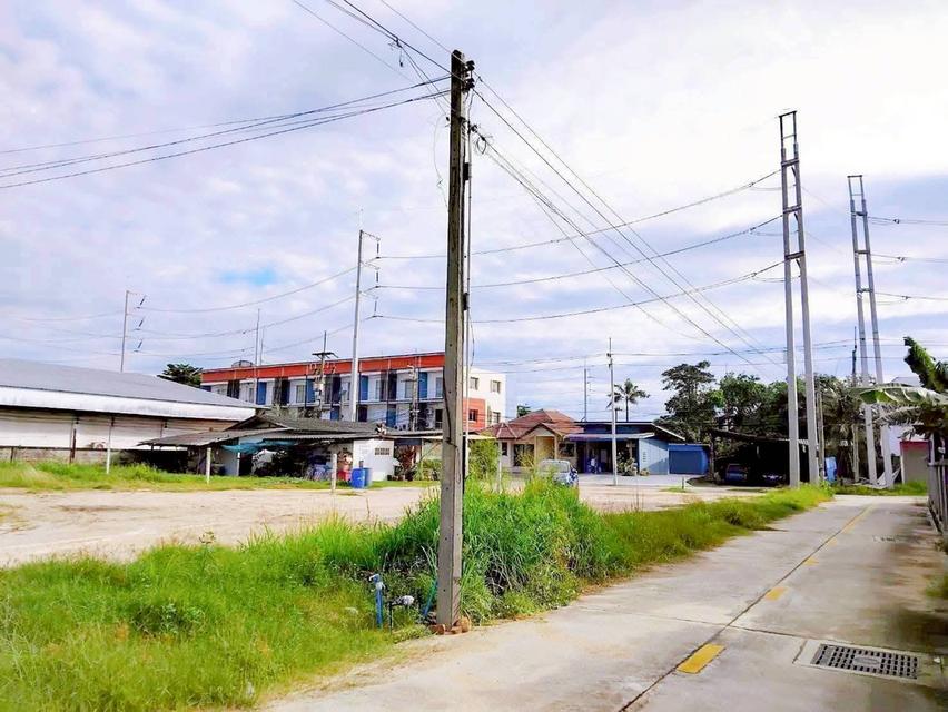 ขายที่ดินทำเลสวย พัทยา 5