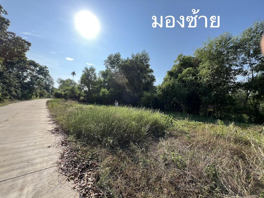 ขายที่ดิน ระยอง อำเภอ แกลง ตำบล ชากโดน เจ้าของขายเอง วัดสมอโพรง 3