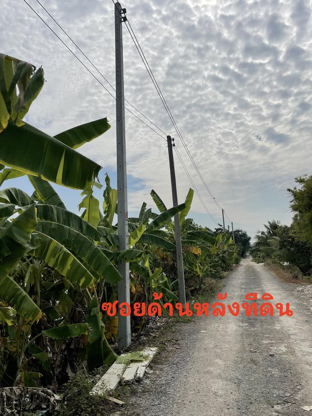 สุดๆโลเกชั่นที่ยอดเยี่ยม บนถนนราชพฤษ ถนนกาจนาภิเษก 40x40 11