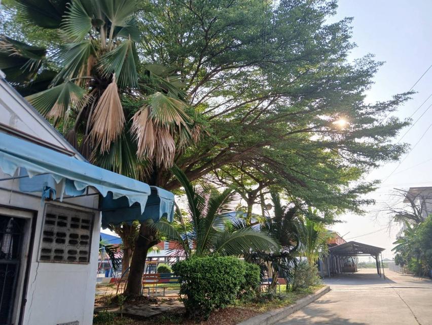 บ้านตึกและอาคารพาณิชย์ 6