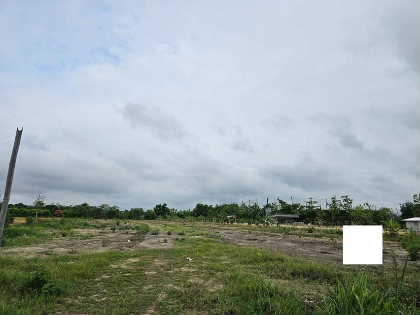 ที่ดินเปล่า ต.บ้านแหวน อ.หางดง ทำเลดี 8