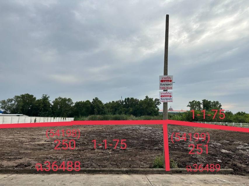 ขายที่ดินเปล่าถมแล้วพร้อมโฉนด 2 แปลงติดกันขนาดแปลงละ 575 ตรว. ติดคลอง ใกล้ถนนใหญ่ ทำเลทอง “เวิลด์คลับแลนด์” คลองสาม ปทุมธานี  2