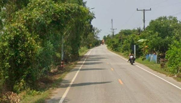ขายที่ดินด่วน เกือบ 4ไร่ พิษณุโลก ติดชุมชน 1