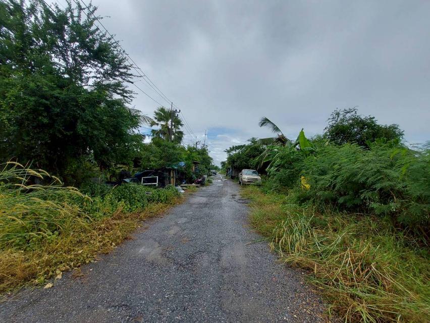 ขายที่ดินเปล่า หมู่บ้านสวัสดิการแลนด์ ซอยคู้คลองสิบ 14 2