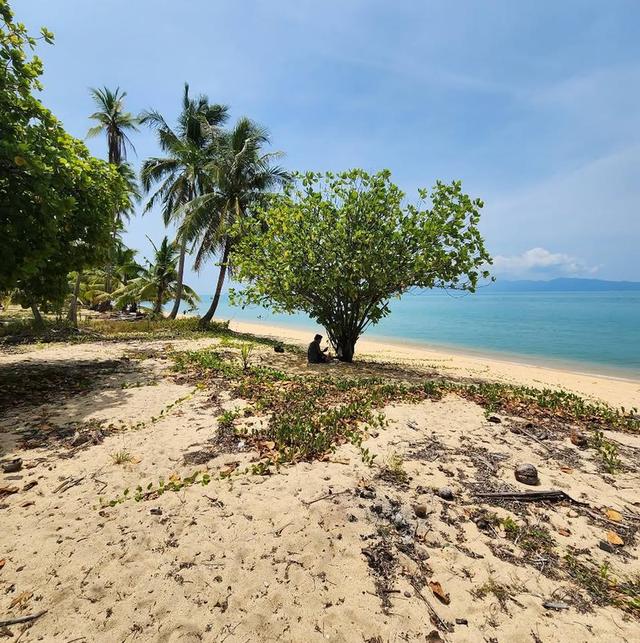ขายที่ดินติดทะเลน้ำใสทรายขาวในเกาะสมุย 6
